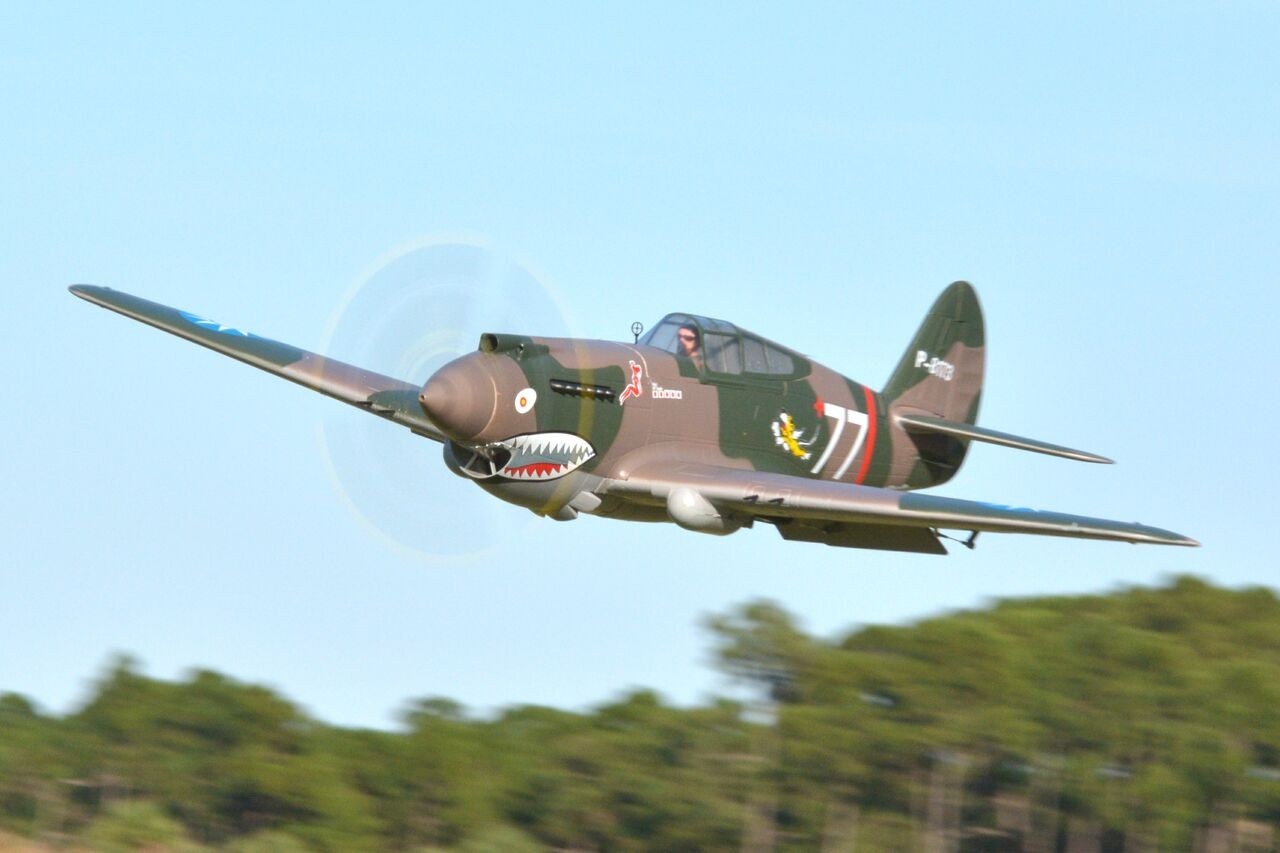 FMS P-40B Curtiss Warhawk Flying Tiger PNP - 140 cm