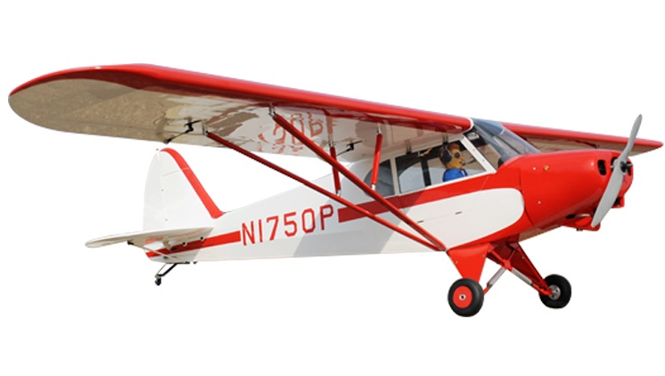 Phoenix Piper Super Cub PA-18 -  273 cm